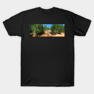 Kirk River, Ravenswood Queenland Australia T-Shirt